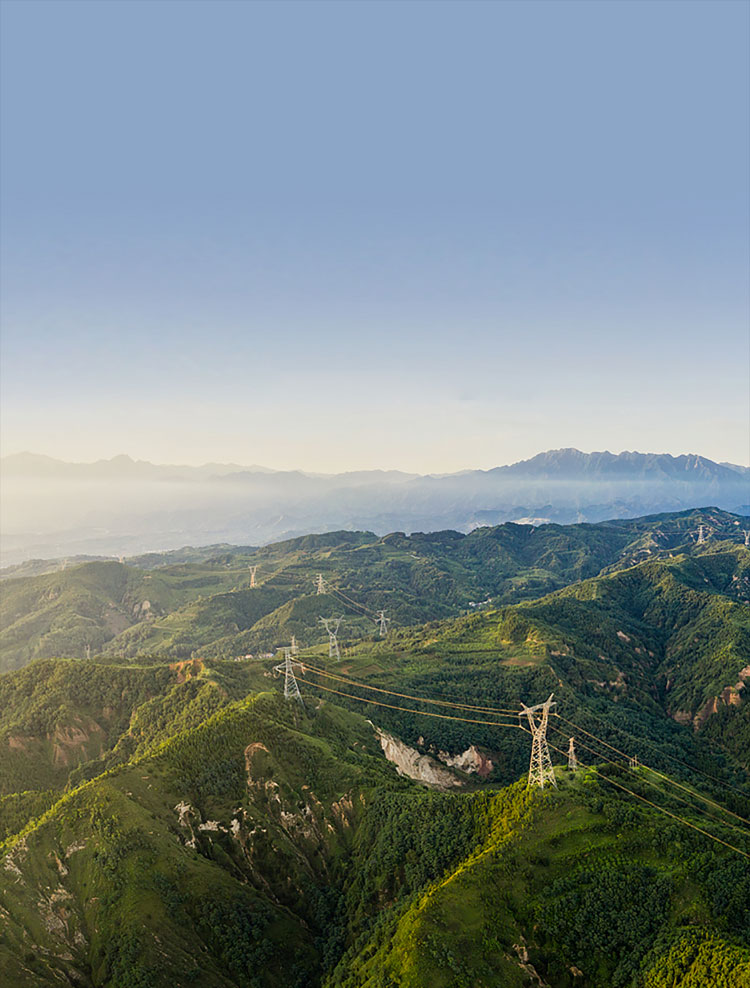 五彩堂股份